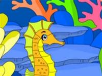 第2讲  为什么海马爸爸生娃娃 