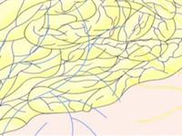 第73讲  舌头表面的小疙瘩有什么作用 