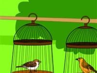 第124讲  小鸟是怎样吃东西的 