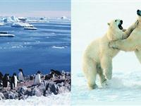 南极和北极有四季变化吗？