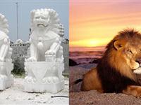 为什么中国的石狮子不安真狮子雕塑？
