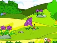 第111讲  为什么一年四季都有花 