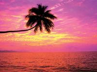 为什么红海里的海水是红色的？