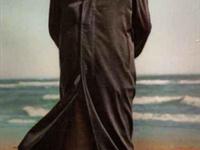 毛泽东诗词欣赏