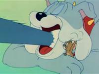 猫和老鼠第三十一集