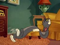 猫和老鼠第四十集