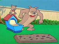 猫和老鼠第六十三集