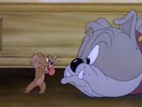 猫和老鼠第六十九集