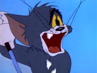 猫和老鼠第八十集