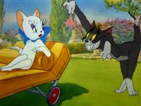 猫和老鼠第八十一集