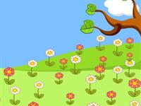 小菊花到哪去了