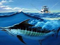 为什么旗鱼游得那么快？