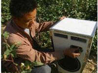 植物也喜欢欣赏音乐