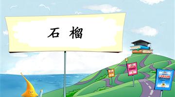 《石榴-2》教学PPT