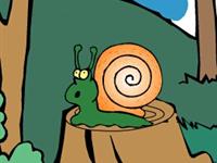 大树桩你有几岁