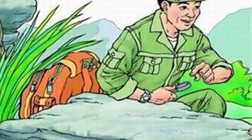 19《最大的书-1》教学PPT