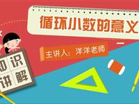 循环小数的意义