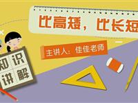 比高矮、比长短