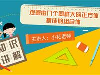 观察由几个同样大小的正方体摆成的组合体