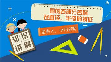 圆的各部分名称及直径、半径的特征