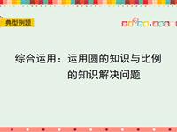 综合运用：运用圆的知识与比例的知识解决问题