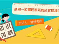 从同一位置观察不同形状的物体