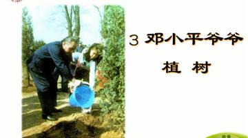 《邓爷爷植树》课文朗读动漫