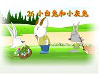《小白兔和小灰兔》课文朗读动漫