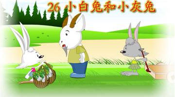 《小白兔和小灰兔》课文朗读动漫