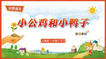 5《小公鸡和小鸭子-1》教学PPT