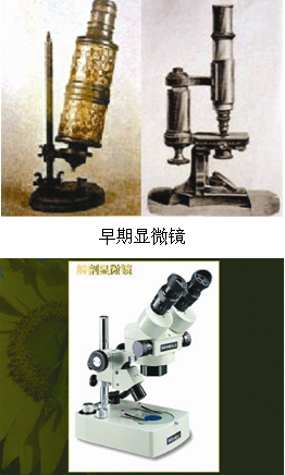 显微镜的历史