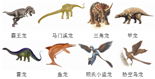 不同种类的恐龙